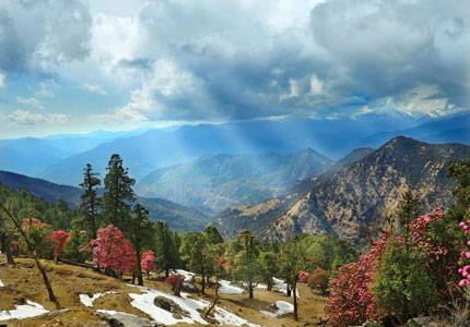 Dehradun
