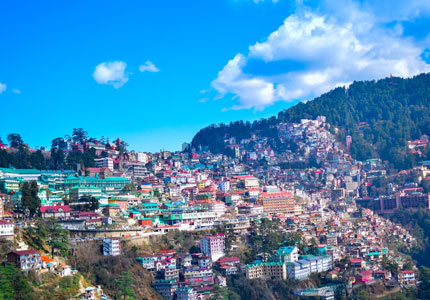 Himachal Dream Trails