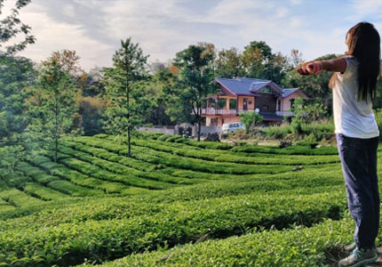 Palampur